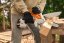 STIHL GTA 30 SET (2xAS A + AL 5-2)