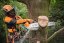 STIHL Akumulátorová pila MSA 220 TC-O