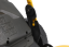 STIGA Akumulátorová sekačka Combi 548e S kit (2L0486208/ST1)