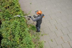 STIHL HL-KM 145° Zahradní nůžky pro KombiSystém (42437405003)