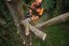 STIHL Akumulátorová pila MSA 220 TC-O