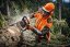 STIHL Motorová pila MS 462 C-M 45/RS (ilustrační foto)