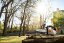 Motorová pila STIHL MS 151 TC-E