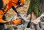 Motorová pila STIHL MS 261 (11412000711) ALFATEK s.r.o.