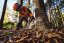 STIHL Akumulátorová pila MSA 260 C-O (MA062000005)