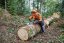 STIHL Pilový řetěz RAPID HEXA 3/8, 1,6 mm 84 článků (31320000084)