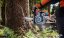 STIHL Motorová pila MS 362 C-M VW
