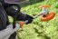 STIHL Akumulátorový vyžínač FSA 50 (FA110115703)