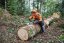 STIHL Přilbová souprava DYNAMIC Light (00008880825)