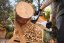 STIHL Akumulátorová pila MSA 80 C-B SET - ilustrační foto