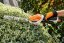 STIHL AKU nůžky HSA 26 SET (AS2 + AL1)