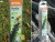 STIHL Žací struna pro hlavy DuroCut 40-4 (00009303505)