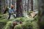STIHL Motorová pila MS 462 C-M 45/RS (ilustrační foto)