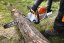 STIHL Akumulátorová pila MSA 220 C-B  35/PS3 Pro