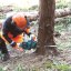 Makita Aku řetězová pila 400 mm Li-ion XGT 40V, bez aku (UC023GZ)