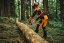 STIHL Motorová pila MS 300.0 C-M VW  40 cm (MB022000007)