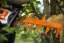 STIHL Akumulátoroví nůžky HSA 130 T (48690113571)